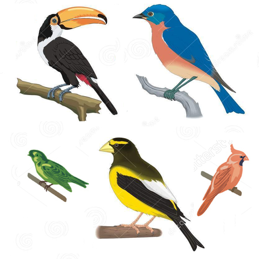 A to Z Birds Name logo