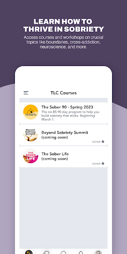 Screenshot of TLC: Sobriety Support