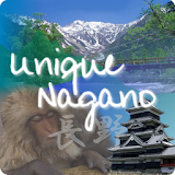 Unique Nagano icon