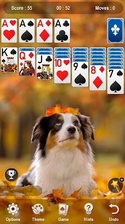 Game screenshot Solitaire hack