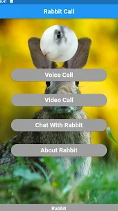 Rabbit call simulator
