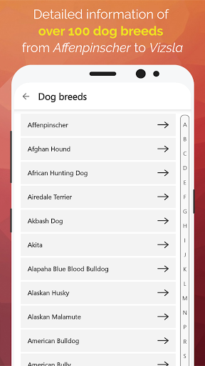 Cats And Dogs-Pet care & Info Screen 3
