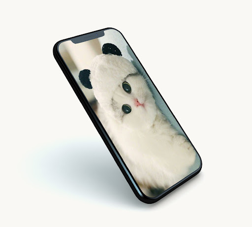 Android application Cute Kitten Wallpapers screenshort