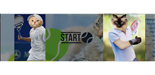 cat tennis pro Tricky Quiz - Screenshot 1