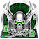 Green Silver Wings Skull Theme icon
