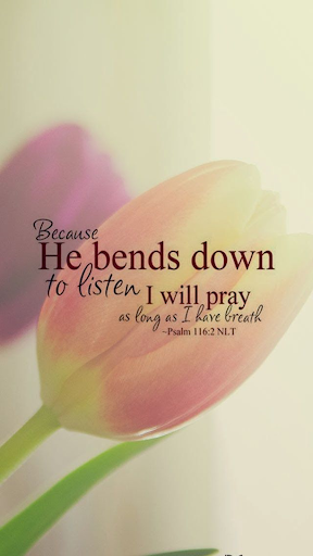 Power Of Prayer Quotes Screen 2