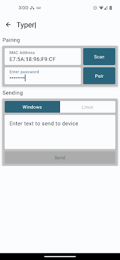 Screenshot of Siemens Typer