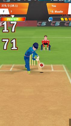 Cricket Star Pro - Screenshot 3