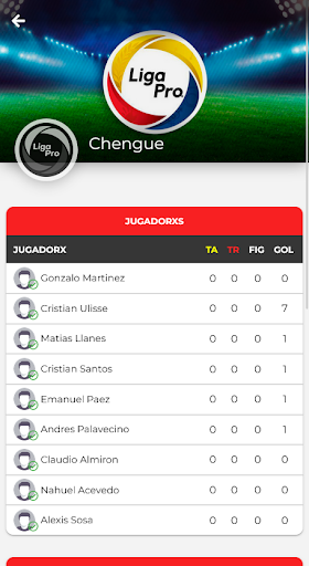 Liga Pro Pilarense Screen 2