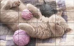 screenshot of Tile Puzzle Cats