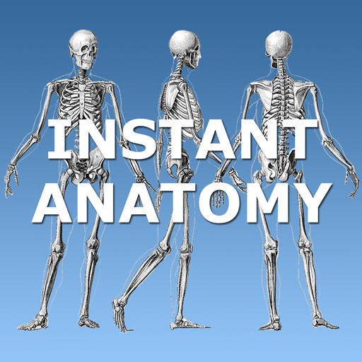 Anatomy Lectures  Icon