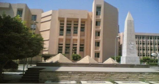 Menoufia University Screen 3