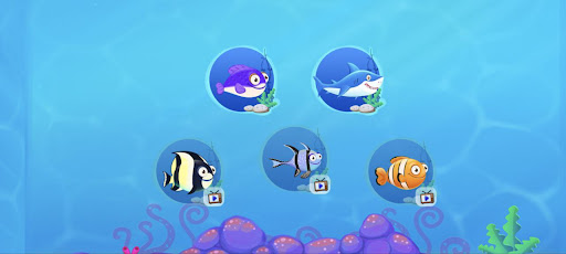 Big Fish Bass Aquarium