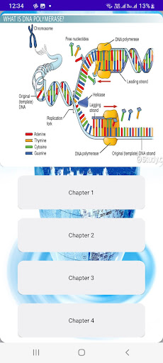 Matriculant Grade 12