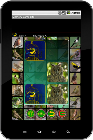 True Birds Memory Game Free 3.0.0 screenshots 2