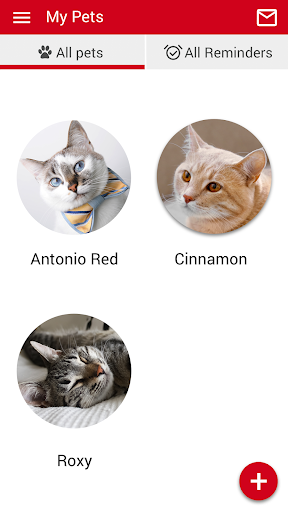 City Kitty Vet Screen 3