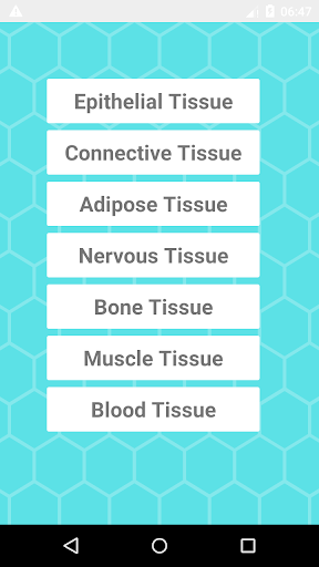 Histology Quiz Screen 2