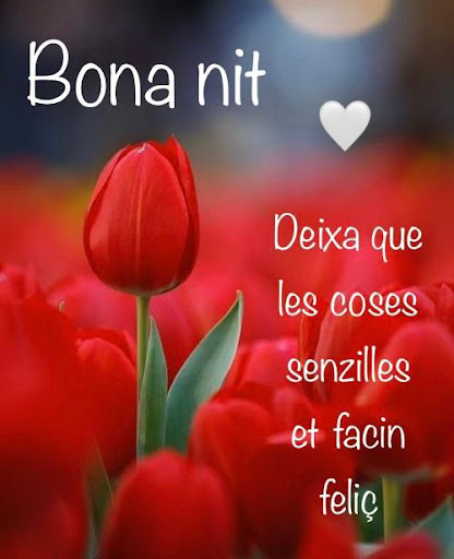 Bon Dia Bona Nit 2024 Screen 3