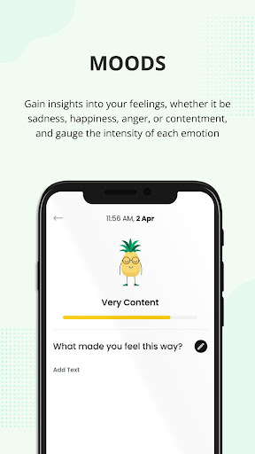 Fineappl Screen 3