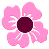 THEME - Cherry Blossom icon