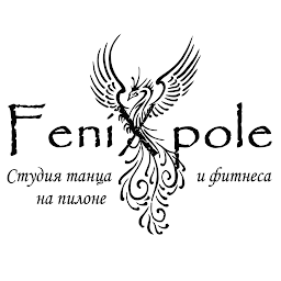 Icon image FeniXpole танцы Красноярск