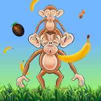 Funky Monkey - Catch Bananas G