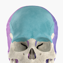 Icon image Anatomyka Skeleton