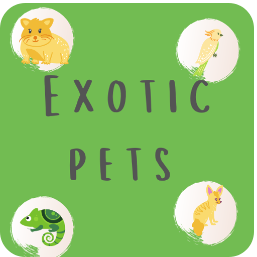 mascotas exoticas