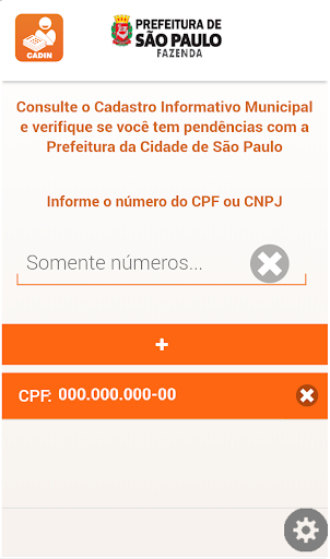 CADIN PMSP Screen 2