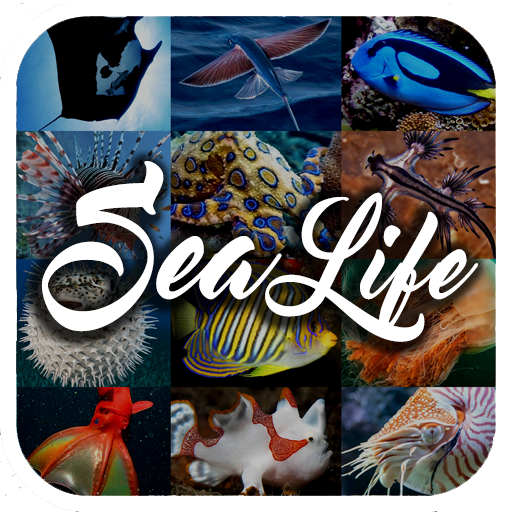 Sea Animal Encyclopedia  Icon