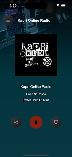 Kapri Online Radio Screen 2