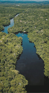 Amazon River Wallpaper