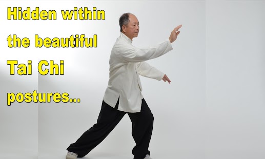 Tai Chi Martial Applications Captura de pantalla