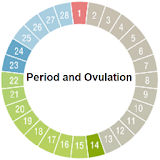 Period and Ovulation icon