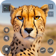 Cheetah Sim Wild Animal Games