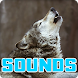 Wolf Howling Sounds Effect