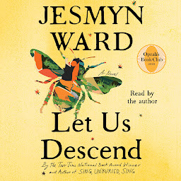 Obraz ikony: Let Us Descend: A Novel