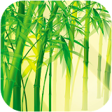 Bamboo Live Wallpapers icon