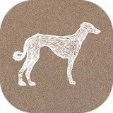 Magic Dog icon