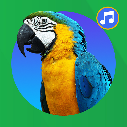 Bird Sound And Wallpaper