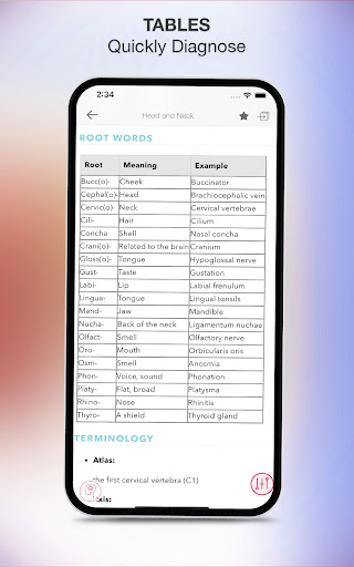 Screenshot of Rapid Review Anatomy Guide