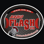 Top 30 Music & Audio Apps Like Radio Flash Sud - Best Alternatives
