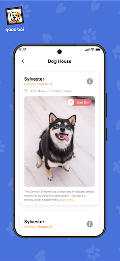 Good Boi Gallery Screen 3