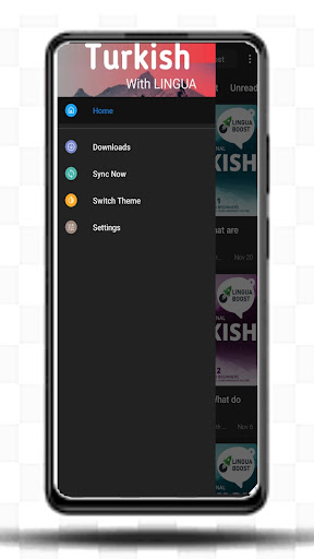 Android application Learn Turkish With Lingua screenshort