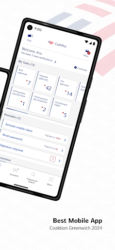 Screenshot of CashPro