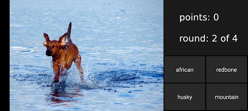 Dog Quiz - guess the breed Screen 3