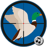 Pato Reclamo