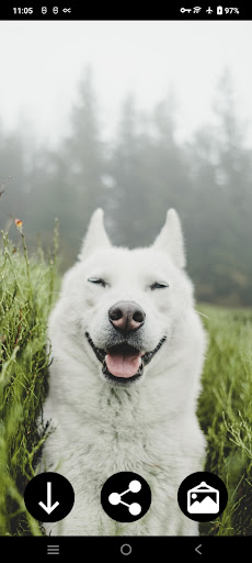 Cute Wallpapers Screen 3