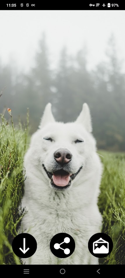 #3. Cute Wallpapers (Android) Podle: Infinity