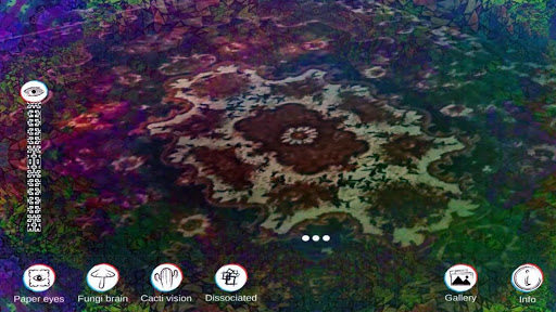 Symmetric Vision Screen 2